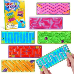 Squishy Sensory Fidget Autism Toys for Kids: Sensory Toys for Sepcial Need 6 Pack Maze - Quiet Fidget Sensory Filled Goo for Calming Down Classroom, Adult Office,Travel Essetial